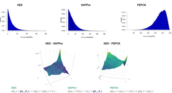 Figure 2 Flux distributions in the most recent human metabolic network Recon3D [7]. We estimate the flux distributions of the reactions catalyzed by the enzymes Hexokinase (D-Glucose:ATP) (HEX), Glucose-6-Phosphate Phosphatase, Edoplasmic Reticular (G6PPer