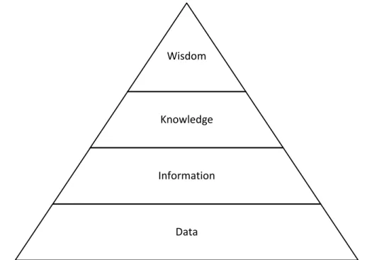 Figure 9 Common representation of the Wisdom Hierarchy 