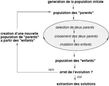 Fig. 2.1 – Sch´ ema d’un algorithme g´ en´ etique simple
