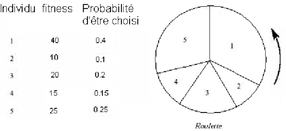 Fig. 2.3 – Exemple de la s´ election par roulette