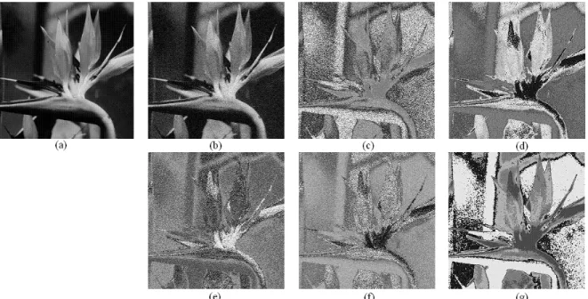 Fig. 4.12 – L’image m´ edical avec le bruit Gaussien et les r´ esultats de segmentation (c=5).