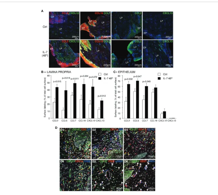 FIGURE 2 | Topical administration of rs-IL-7gly increases local chemokine expression in the vaginal mucosa