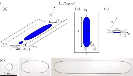 Figure 2. (a) Capillary bridges between a planar surface and a cylinder of radius ρ with a horizontal axis