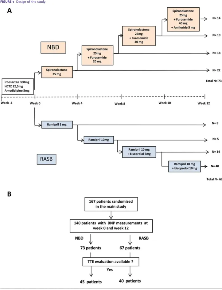FIGURE 1 Design of the study.