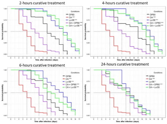 Figure 2. Determination of C. albicans concentration present in the biofilm in presence of Lcr35 ®  or not  onto Caco-2 cells monolayers (mean ± standard deviation)