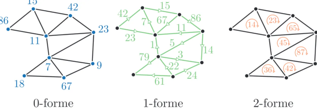 Figure 2.4 Un exemple de p-formes. Est associé à chaque p-chaîne orientée une valeur qui représente la valeur de la forme sur la chaîne considérée