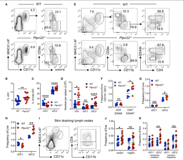 FIGURE 1 | PTPN22 negatively regulates ESAM HI cDC2 homeostasis. (A–D) Spleens of 2–4-months age matched wild type (WT) and Ptpn22 −/− mice were evaluated for cDC subsets by flow cytometry, gated on: live, singlet, lin − (CD3, CD19, B220, Ly6C/G, NK1.1, Te