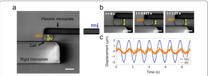 Fig. 1  Parallel plate rheometer. a Rheometer consisting of a rigid and a flexible microplate, the latter being used as a spring of calibrated stiffness  to apply a sinusoidal compression to an isolated single cell