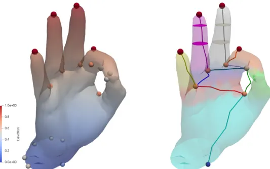 Figure 2 . 10 – A 3-triangulation of a hand with the height scalar field. On the left, the scalar field is shown along with all the corresponding critical points
