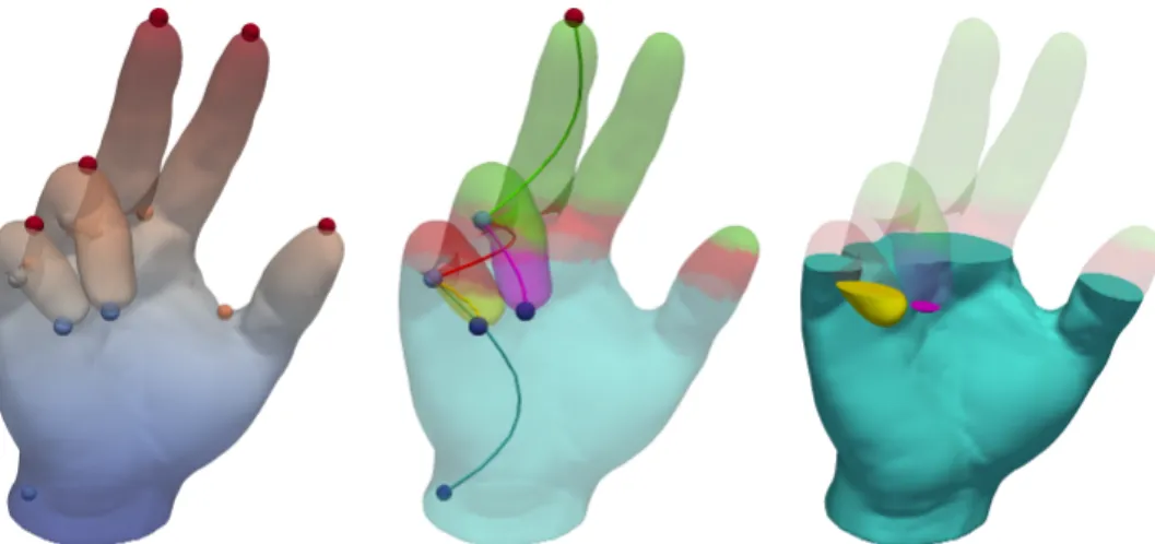 Figure 2 . 12 – A simply connected 3-triangulation of a hand with a height scalar field.
