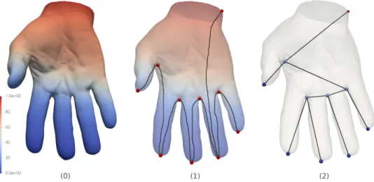 Figure 3 . 2 – A toy example of a hand data set with an elevation scalar field (0). Critical points and the monotonously decreasing path are shown in (1)