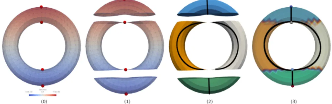 Figure 3 . 6 – On a torus with a simple elevation, there are four critical points shown on (0)