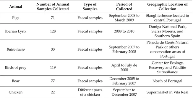 Table 1. Data on the origins of the E. coli strains used in this study.
