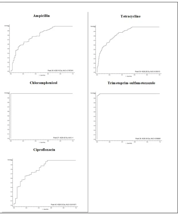 Figure 2. Area under the receiver operating characteristic (ROC) curve (AUC) value for the peak at  4528.42 m/z obtained from an E