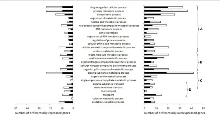 FIGURE 2 | Lactococcus garvieae biological processes involving genes differentially expressed depending on aeration level exclusively in pure culture or exclusively in co-culture
