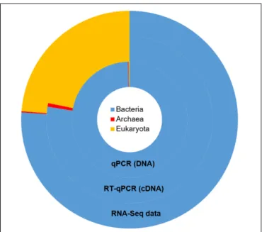 FIGURE 1 | Taxonomic repartition of the active population of the rumen microbial community derived from rRNA sequences from the metatranscriptomic data (outer ring) and the relative abundances of main microbial groups as measured by qPCR at the DNA and RNA