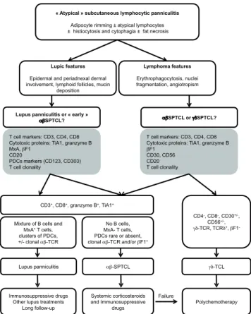 Fig. 2. Proposition of algorithm for subcutaneous panniculitis- panniculitis-like T-cell lymphoma diagnosis and treatment