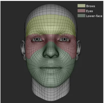 Figure 4.1: PCA areas highlighted on the Faceshift template mesh. Green covers the lower-face area, red covers the eye-area and yellow covers the brows-area.