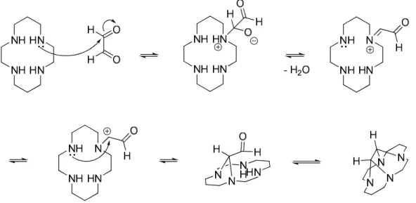 Figure 25 : Proposition du mécanisme réactionnel de la condensation du glyoxal sur le  cyclame 