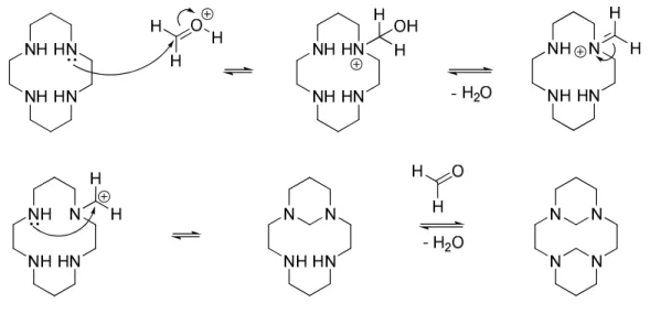 Figure 27 : Proposition du mécanisme réactionnel de la condensation du formaldéhyde sur  le cyclame 