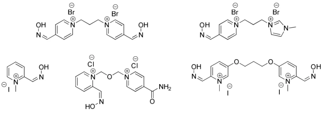 Figure 11 : Structures des cinq anti-poisons 