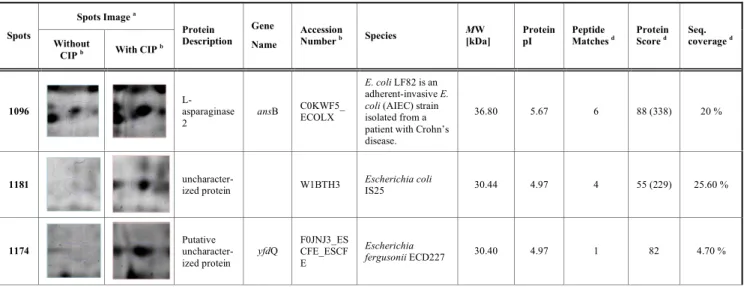 Table 1.  Proteins differentially expressed and identified by MALDI-TOF/TOF or LC-ESI MS/MS in the MDR ESBL-producing  E