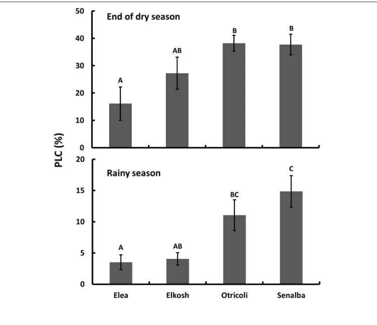 FIGURE 1 | Percent loss of conductivity (PLC) of P. halepensis provenances measured at the end of the dry season (upper) and in the middle of the rainy season (lower)