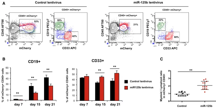 Figure 6. Expression of miR-125b Decreases B Cell Output in Human HSC