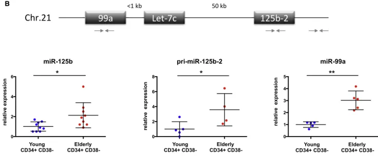 Figure 4. Expression of miR-125b Increases with Age in Human HSC