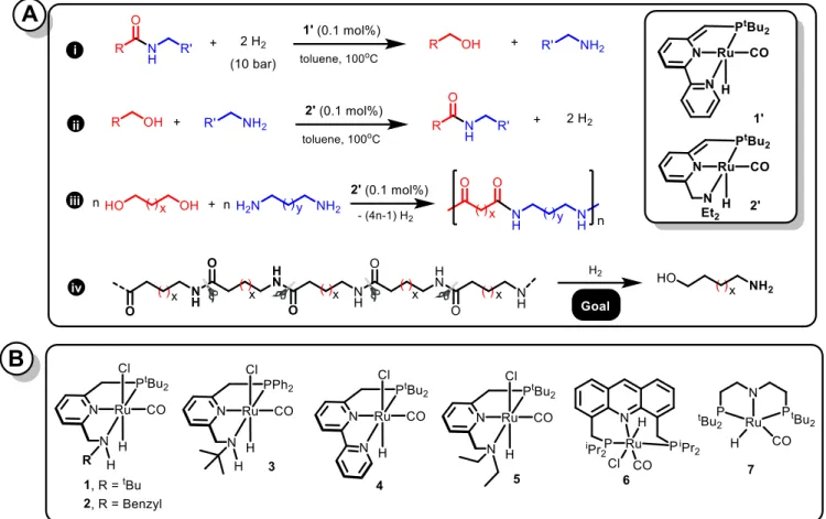 Figure 1.A. (i) Hydrogenation of amides via C–N cleavage to form alcohols and amines; (ii) dehydrogenative coupling of alcohols  and amines to form amides; (iii) dehydrogenative coupling of diols and diamines to form polyamides and (iv) hydrogenation of  p
