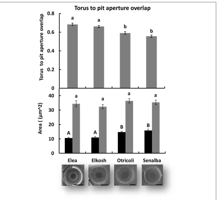 FIGURE 5 | Torus and pit aperture sizes. Torus to pit aperture overlap (upper histogram), and area of torus versus pit aperture (lower histogram)