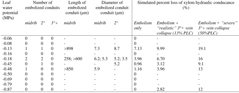 Table  3.  Observations  of  embolized  conduits  and  dimensions  from  microCT  and  their  simulated  impact  on  leaf  xylem  hydraulic 888 