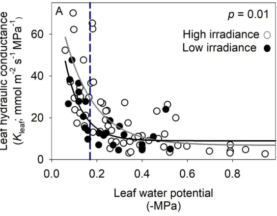 Figure 1. Decline of leaf hydraulic conductance (K leaf ) measured under high (&gt;1000 μmol  photons m -2  s -1 ) or low (&lt; 3 μmol photons m -2  s -1 ) irradiance