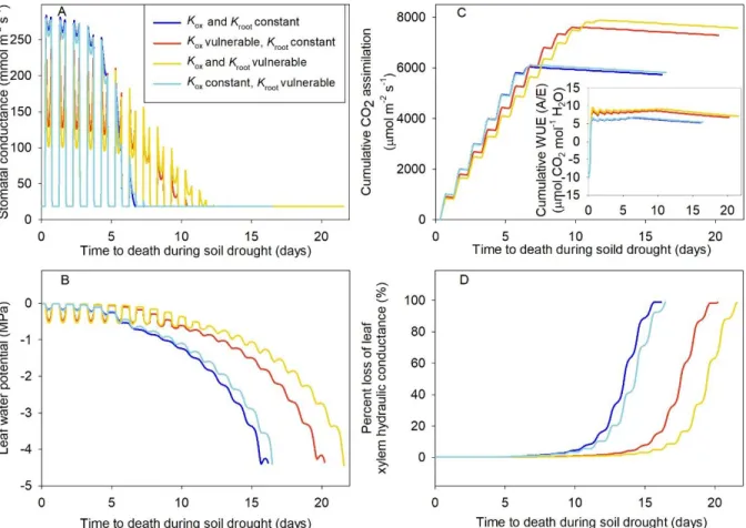 Figure 7. Daily simulated patterns of stomatal conductance (A), leaf water potential (B),  cumulative CO 2  assimilation (C) and the percent loss of leaf xylem hydraulic conductance (D)  during the progression of a simulated soil drought (SurEau Model, see