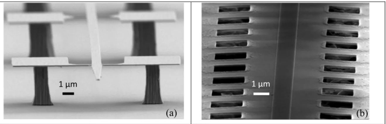 Figure 2. Scanning electron microscope (SEM) images of the suspended nanowire (a) and nanorib (b)  waveguides