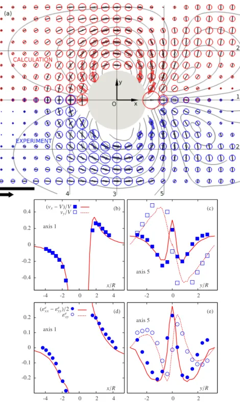 Fig. 4. Test of dry foam flow prediction, represented as explained in section 3.4. (a) Map