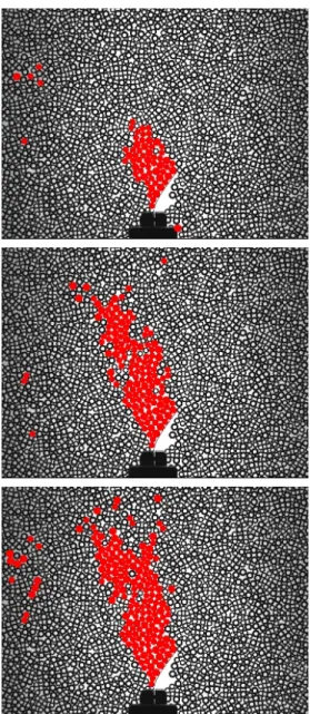 FIG. 9. Growth of a “cluster” of slow grains (red-labeled) for three successive images starting from a penetration distance