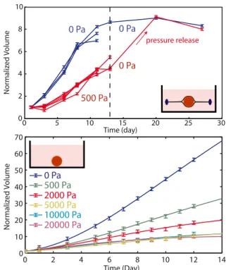 FIG. 1: Growth curves of individual spheroids under stress.