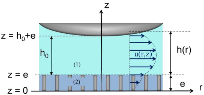 FIG. 5. Sketch of the squeeze flow of a two adjacent fluid layers with different viscosities.