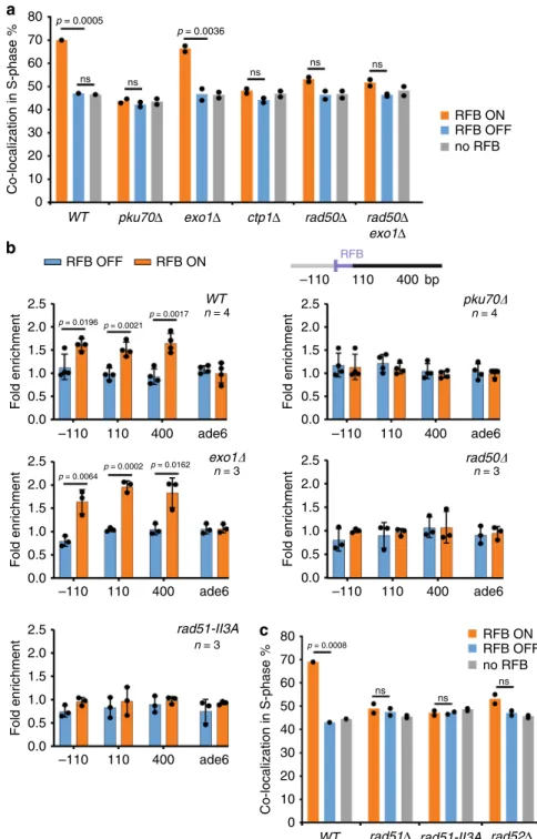 Fig. 2 Relocation to NPCs requires Rad51 enzymatic activity. a Co-localization events in S-phase cells in indicated conditions and strains, as described on Fig