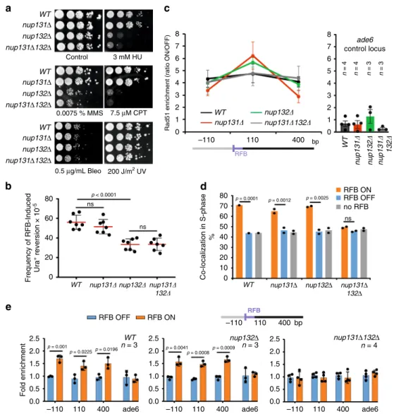 Fig. 4 Nup132 promotes HR-mediated DNA synthesis, downstream of Rad51 binding, in a post-anchoring manner