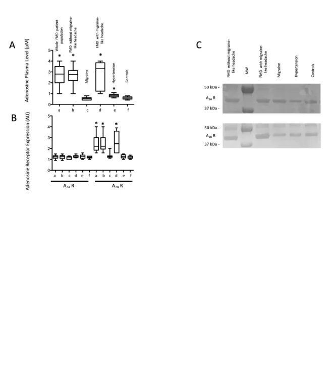 Figure 1 legend:  