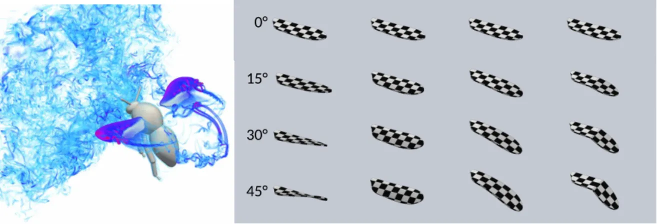 Figure 1. Left: Numerical simulation of a bumblebee model with rigid wings and imposed kinematics,  subjected to an incoming turbulent flow