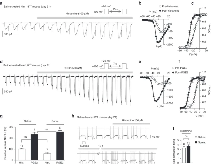 Fig. 7 Mast cell mediators activate Nav1.9 in dural afferent neurons. a Nav1.9 current challenged with 100 µ M histamine in a DiI + dural afferent neuron from a saline-treated Nav1.8 −/− mouse