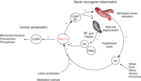 Fig. 8 Central role of Nav1.9 in MOH mechanisms. The following scenario summarizes the contribution of Nav1.9 to MOH