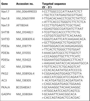 Table 1 Primers used in q-PCR analysis