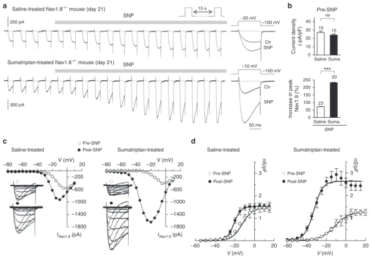 Fig. 4 Sumatriptan treatment promotes activation of Nav1.9 by NO. a Nav1.9 current exposed to 1 mM SNP in dural afferent neurons from saline-treated (top panel) and sumatriptan-treated (bottom panel) Nav1.8 −/− mice