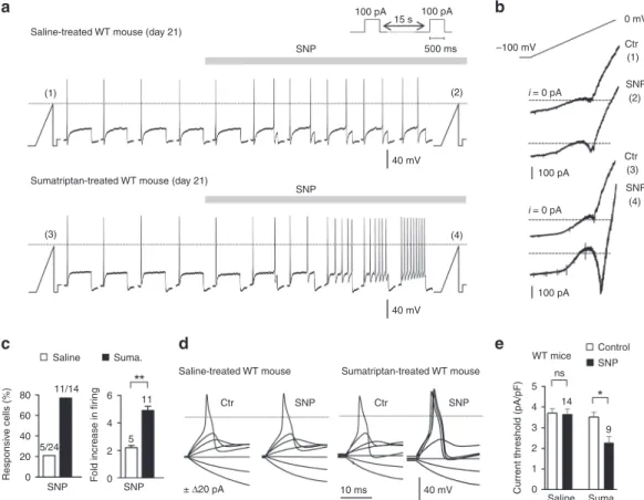 Fig. 5 Nav1.9 activation by NO lowers excitability threshold and enhances ﬁ ring in dural afferent neurons