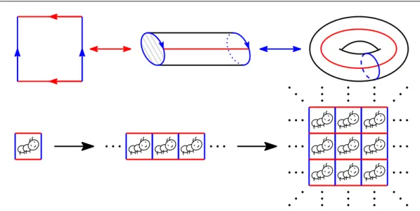 Figure II.5: Top: topological construction of a flat torus. Bottom: tiling of the universal cover of the flat torus with copies of its fundamental domain