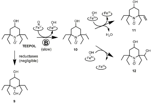 Figure 11: Proposed products and corresponding formation pathways in aerobic transformations of  TEEPOL by RLM and NADPH